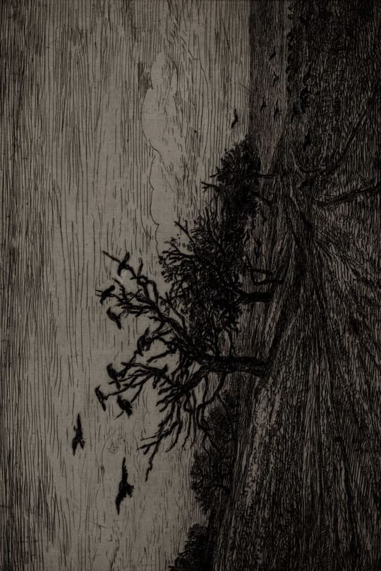 Dead Tree