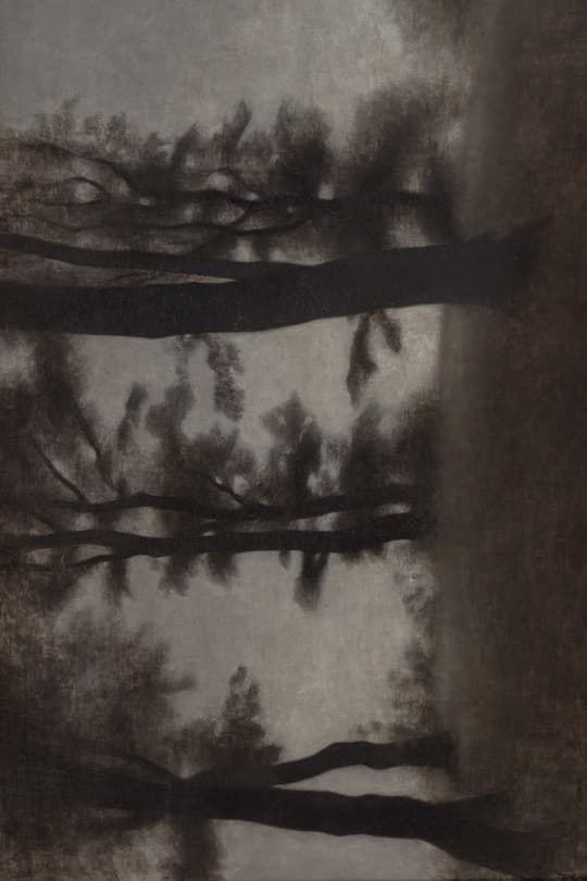 Veiled Landscape