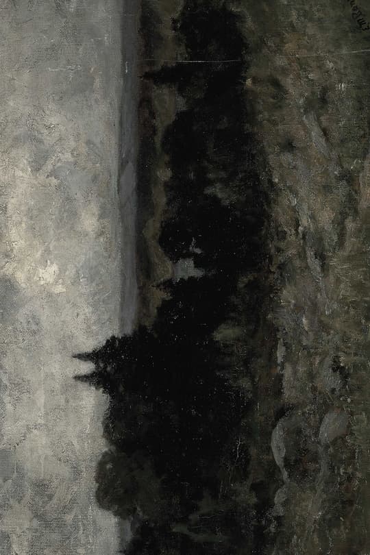 Dark Forest Landscape