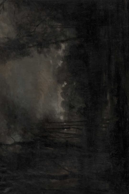 Nocturne Study