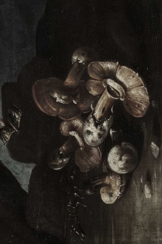 Witches' Flight