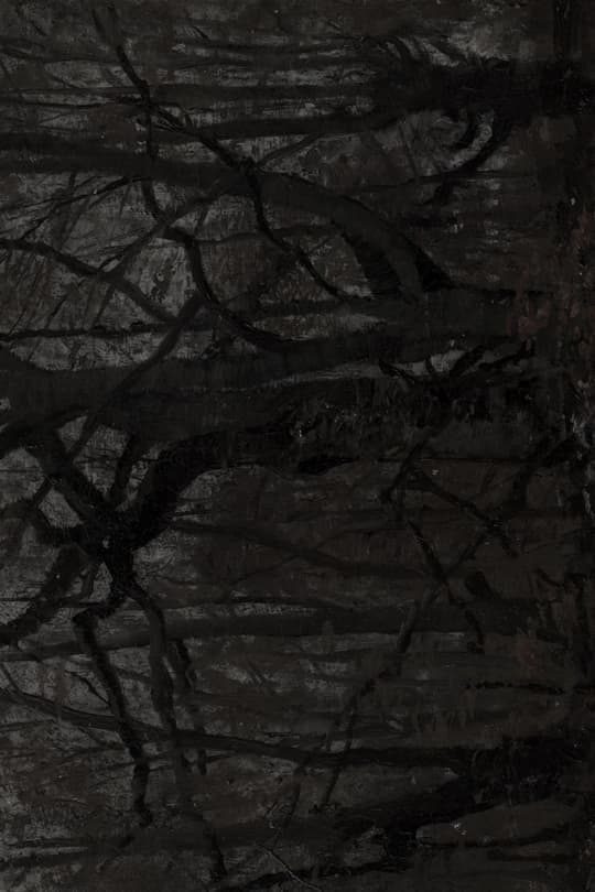 Dark Branches