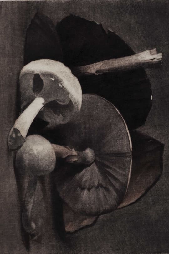 Still Life with Musical Instruments