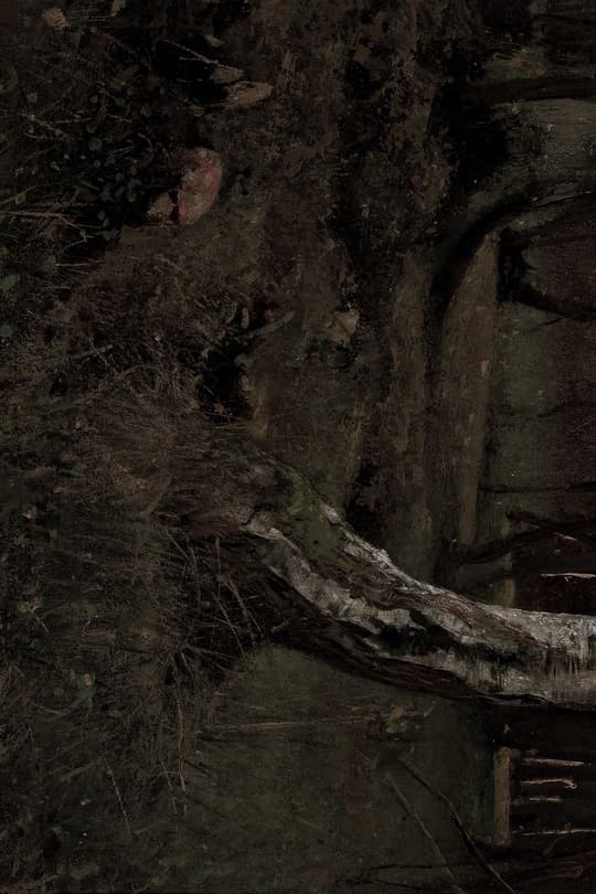 Forest Floor Study