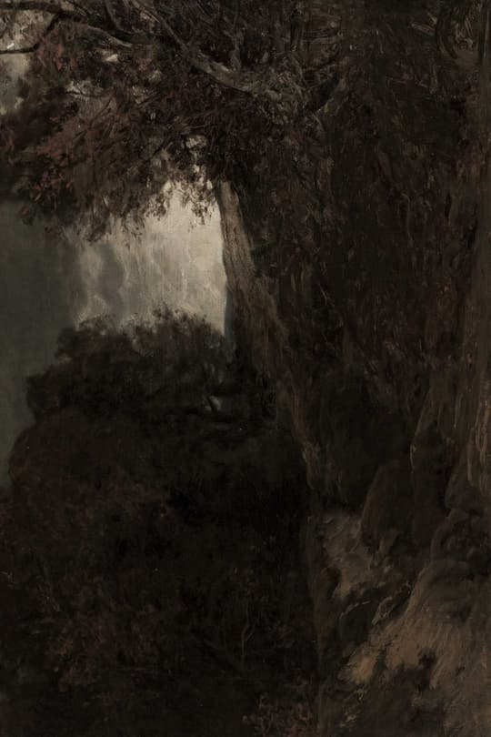 Ancient Tree Portal