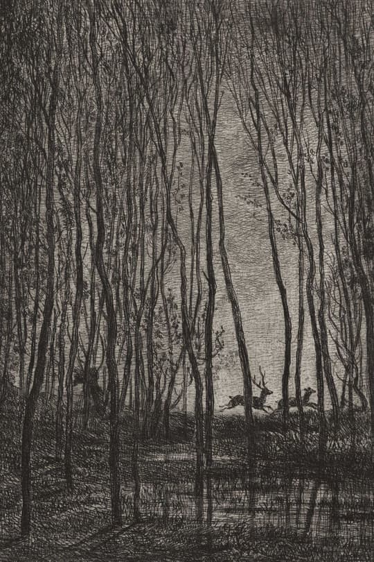 Forest Stream with Deer