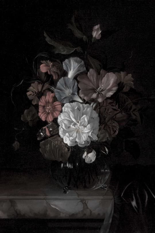 Dark Floral Still Life