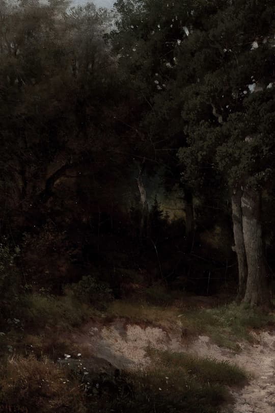 Forest Path at Dusk