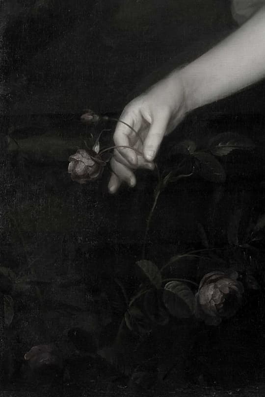 Hand with Wilted Rose