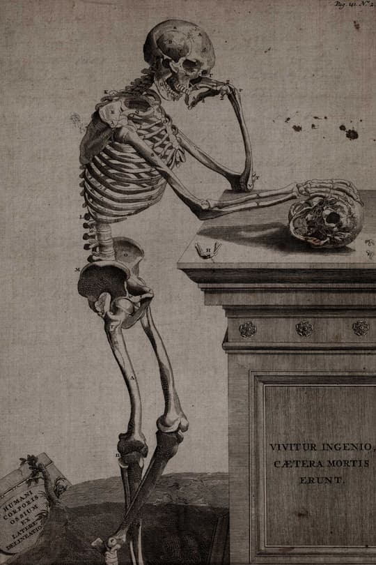 Skeleton Contemplating Mortality