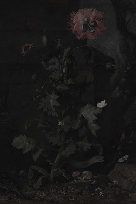 Dark Florals with Moths