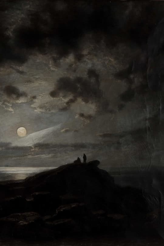 Moonlit Solitude