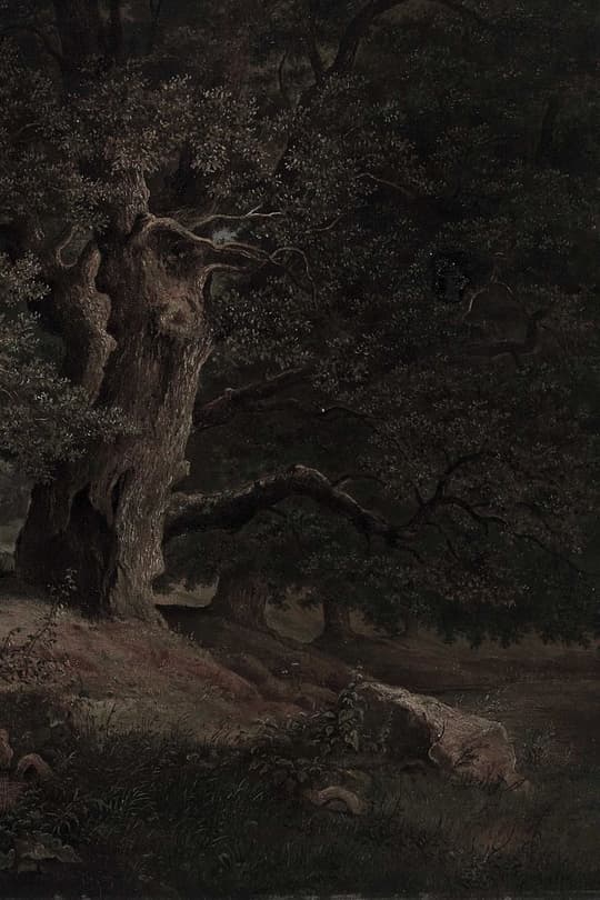 Ancient Tree at Twilight