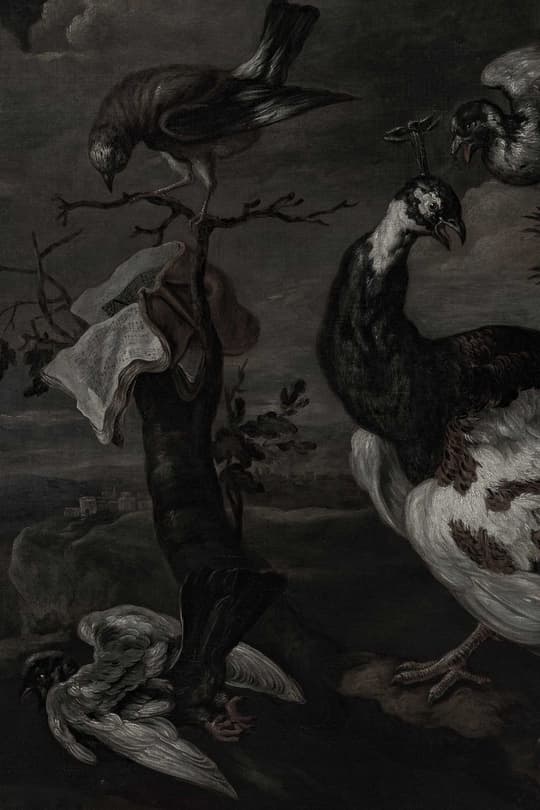Gathering of Birds