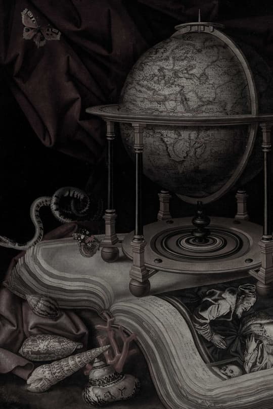 Cabinet of Curiosities