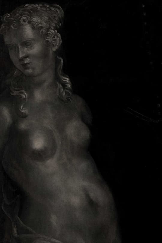 Classical Torso