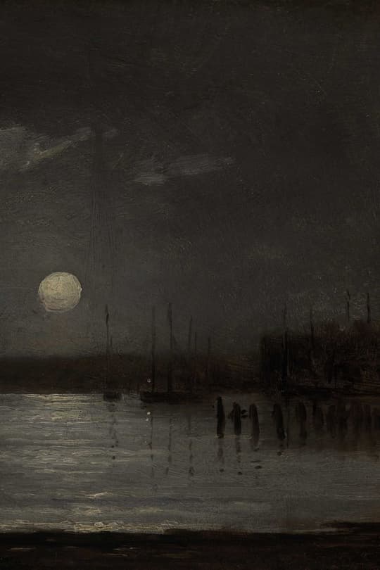 Moonlit Harbor