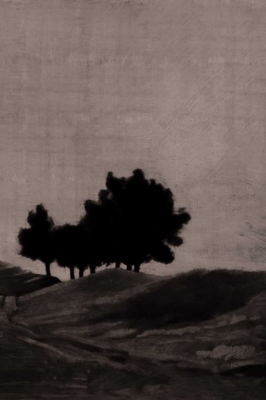 Solitary Tree on the Horizon
