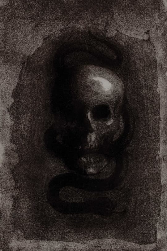 Skull with Serpent