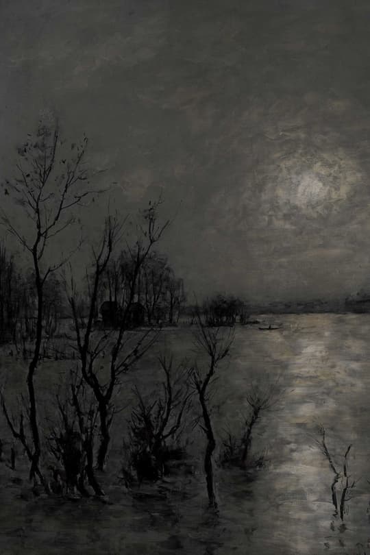 Moonlit Wetland