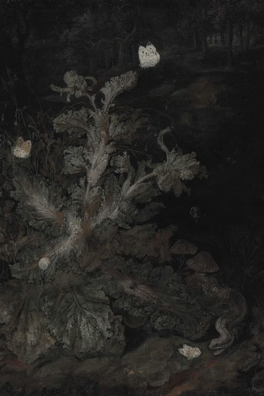 Nocturnal Garden with Moths