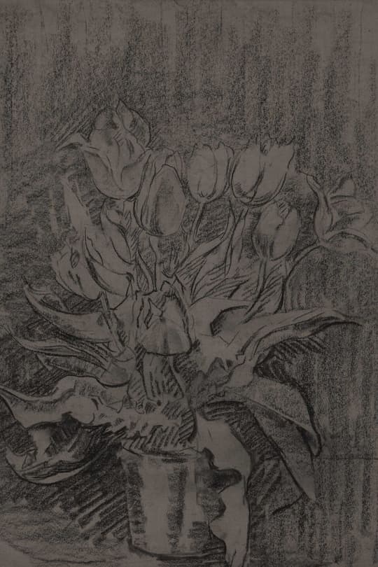 Tulips in a Vase