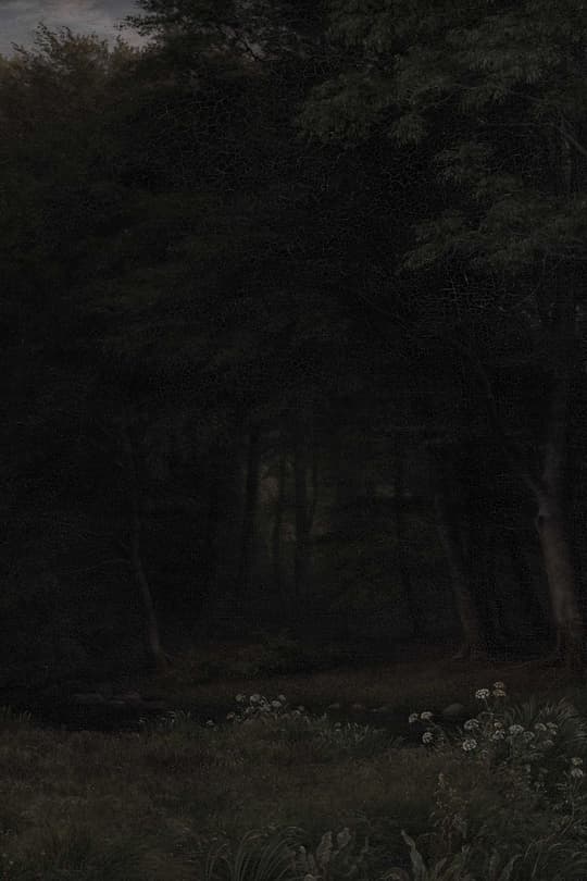 Dark Forest Path