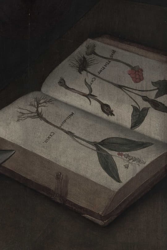 Botanical Codex