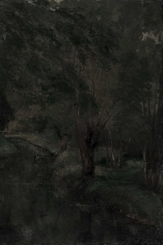 Dark Forest Path