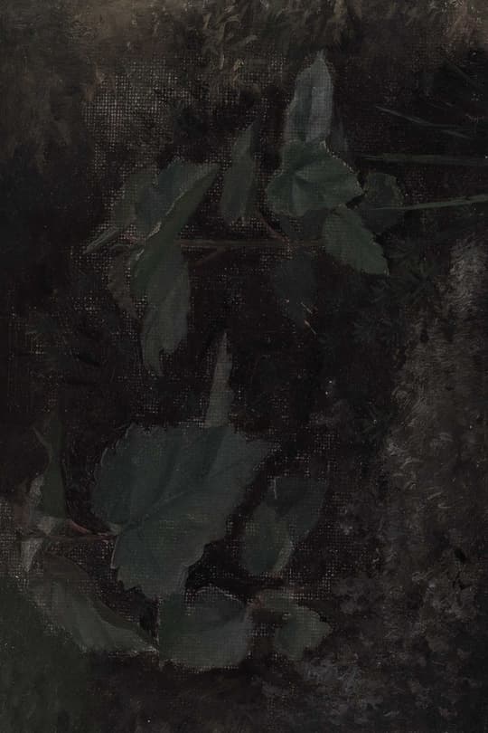 Ivy in Shadow