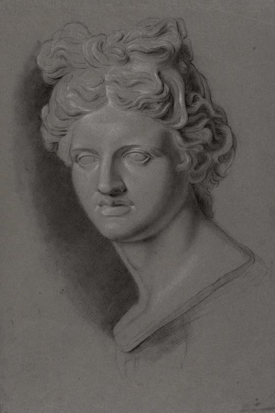 Classical Bust Study