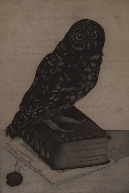 Owl on Books