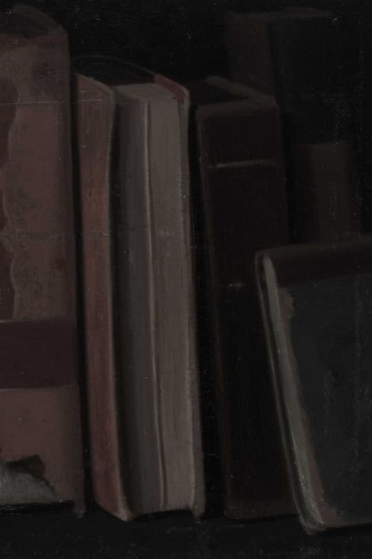 Vintage Books in Shadow