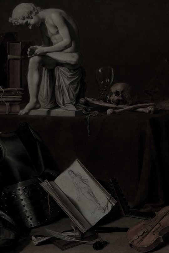 Vanitas: Contemplation