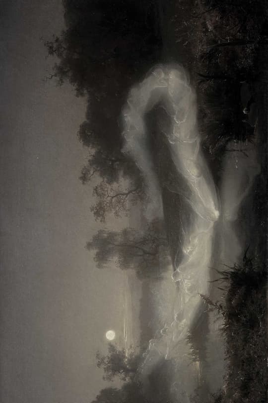Moonlit Forest Path