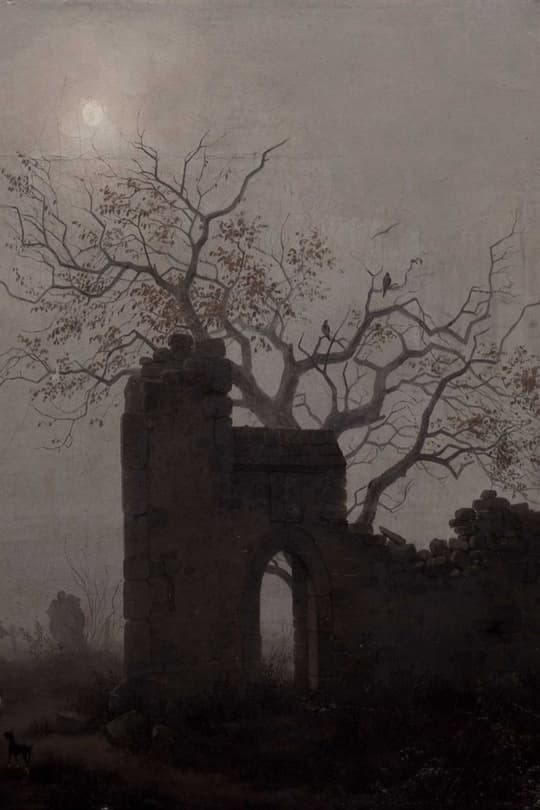 Moonlit Ruin