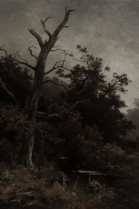 Dead Tree by Stream