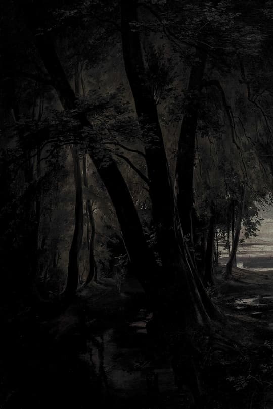 Dark Forest Path