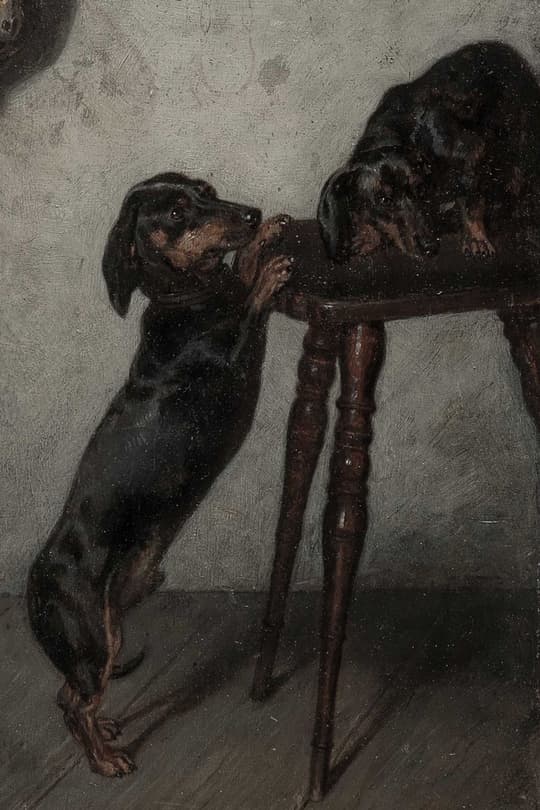 Dogs at Table
