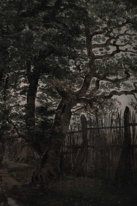 Gnarled Tree and Weathered Gate