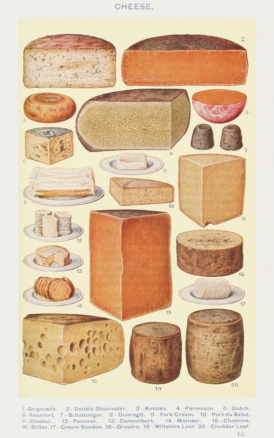 Cheese Varieties Chart