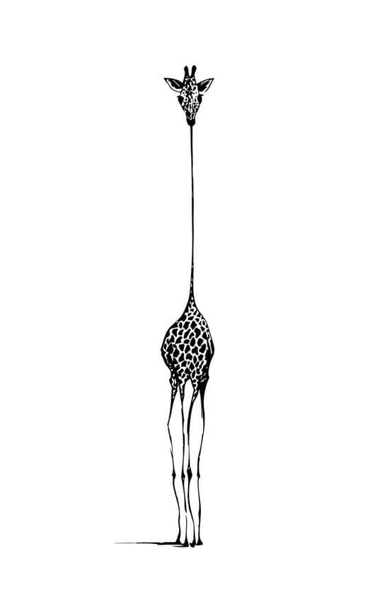 Tall Giraffe